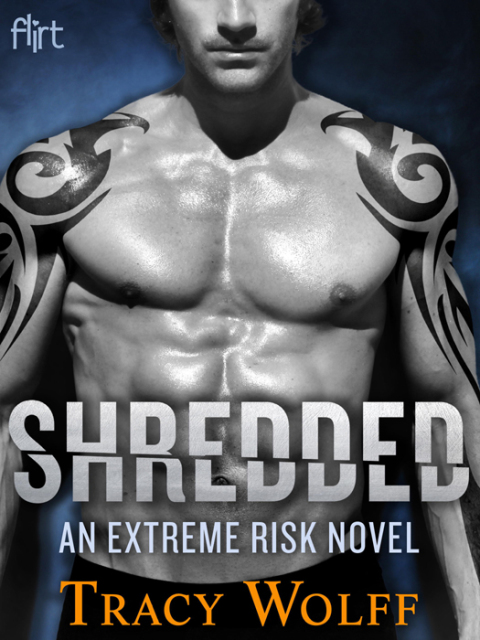 Cover image for book Shredded