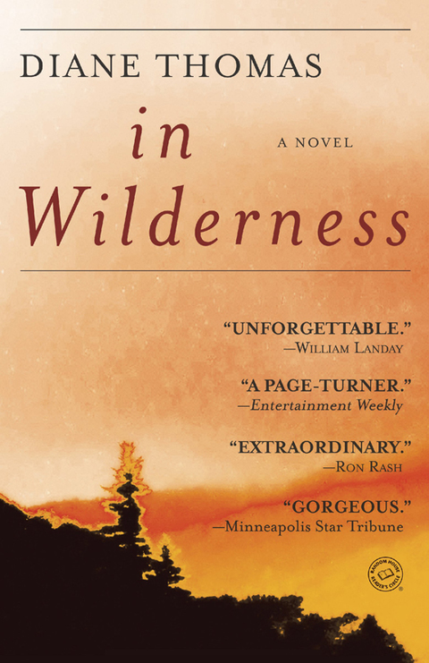 Cover image for book In Wilderness