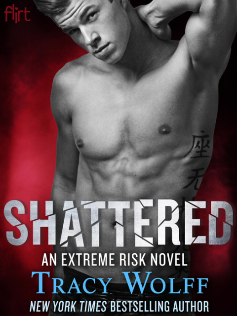 Cover image for book Shattered