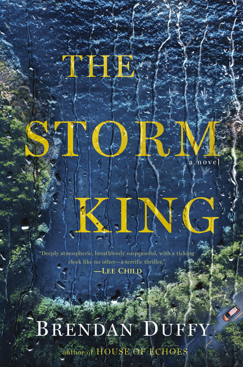 Cover image for book The Storm King