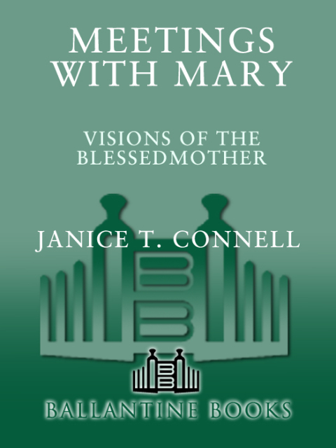 Cover image for book Meetings with Mary