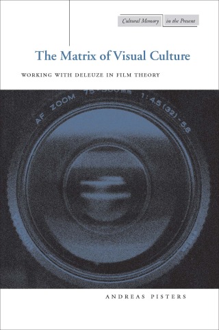 The Matrix of Visual Culture