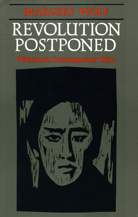 Cover image for book Revolution Postponed