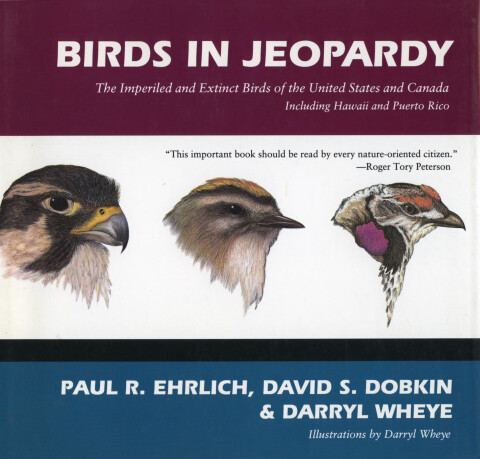 Cover image for book Birds in Jeopardy