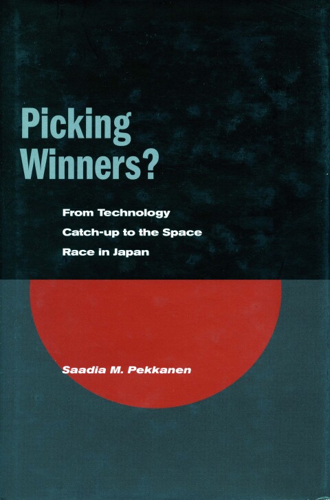 Cover image for book Picking Winners?