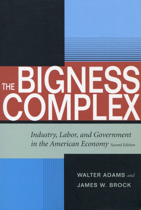 Cover image for book The Bigness Complex