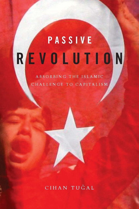 Cover image for book Passive Revolution