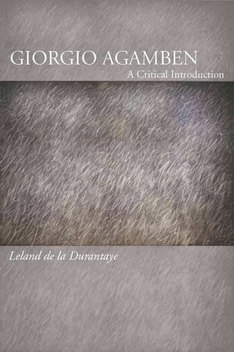 Cover image for book Giorgio Agamben