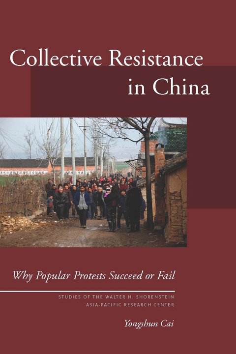 Cover image for book Collective Resistance in China