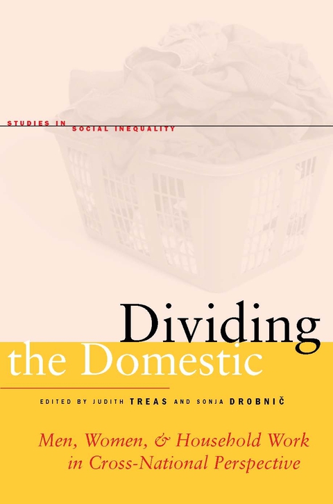 Cover image for book Dividing the Domestic