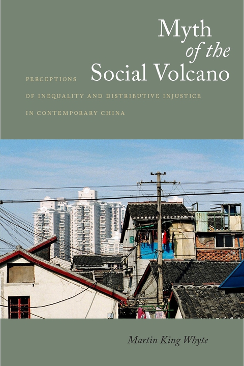 Cover image for book Myth of the Social Volcano