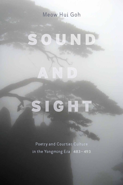 Cover image for book Sound and Sight