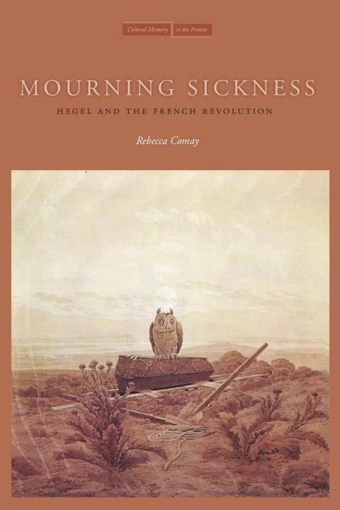 Cover image for book Mourning Sickness