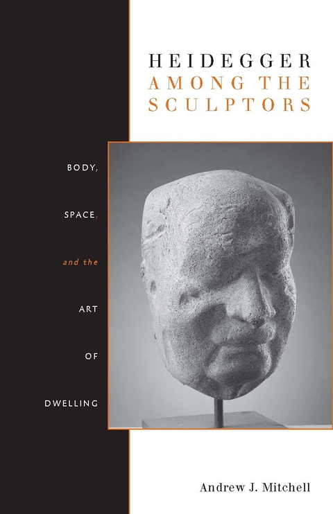 Cover image for book Heidegger Among the Sculptors