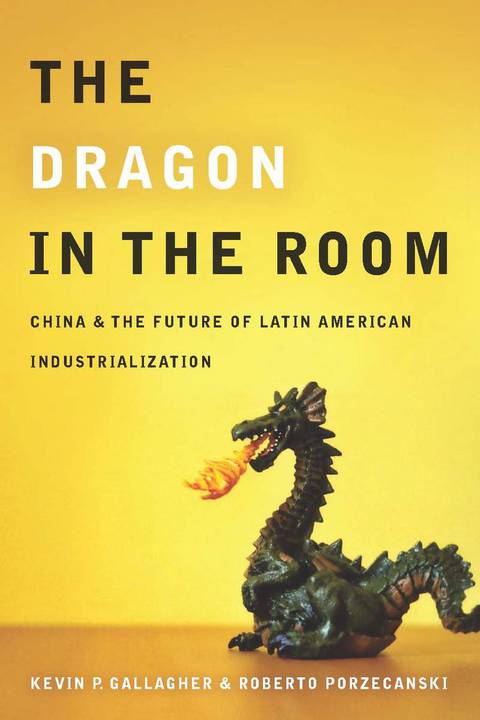 Cover image for book The Dragon in the Room