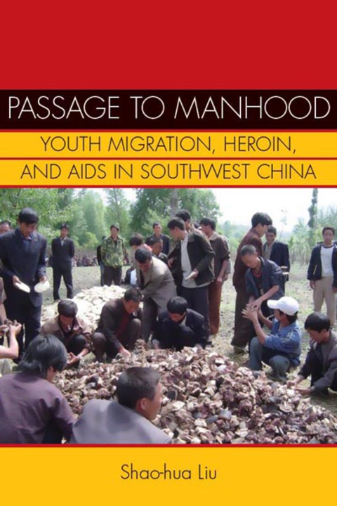 Cover image for book Passage to Manhood