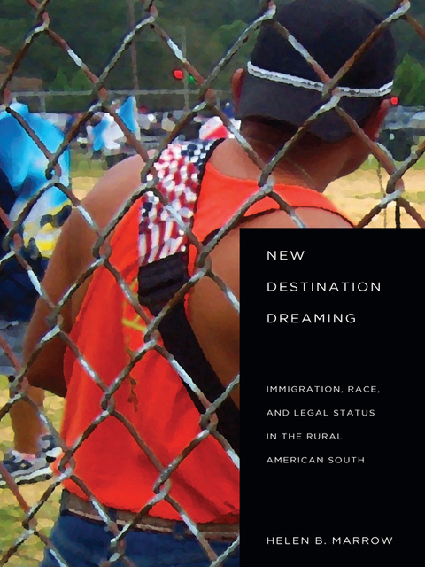 Cover image for book New Destination Dreaming