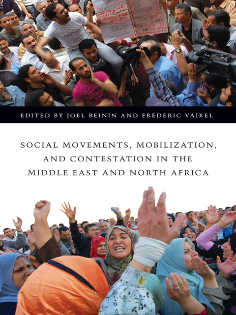 Cover image for book Social Movements, Mobilization, and Contestation in the Middle East and North Africa