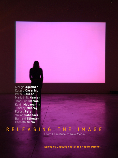 Cover image for book Releasing the Image