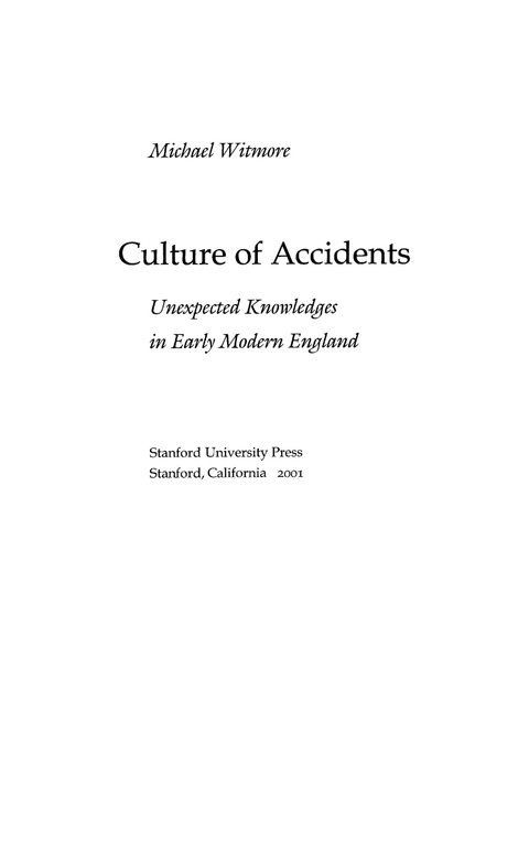 Cover image for book Culture of Accidents