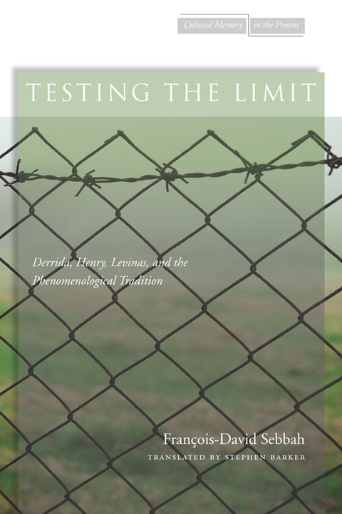Cover image for book Testing the Limit
