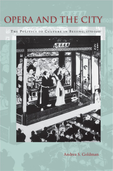 Cover image for book Opera and the City