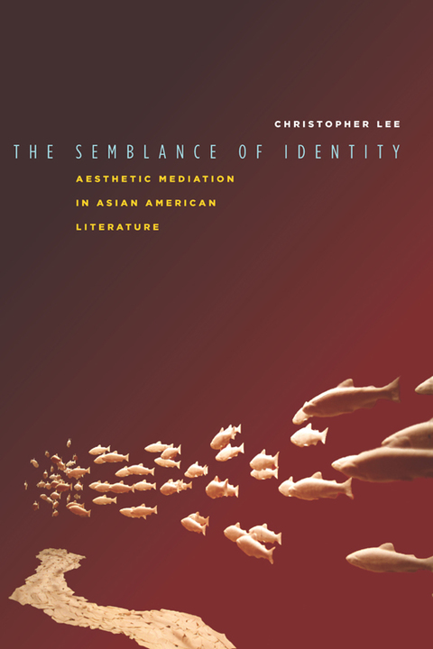 Cover image for book The Semblance of Identity