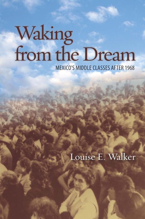 Cover image for book Waking from the Dream