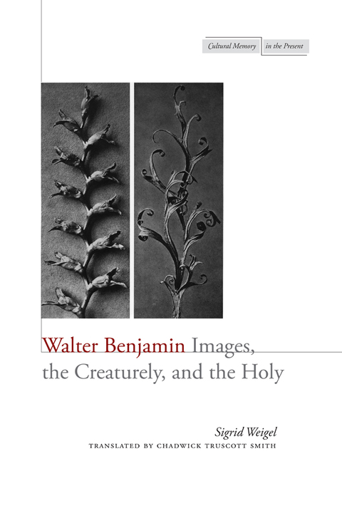 Cover image for book Walter Benjamin