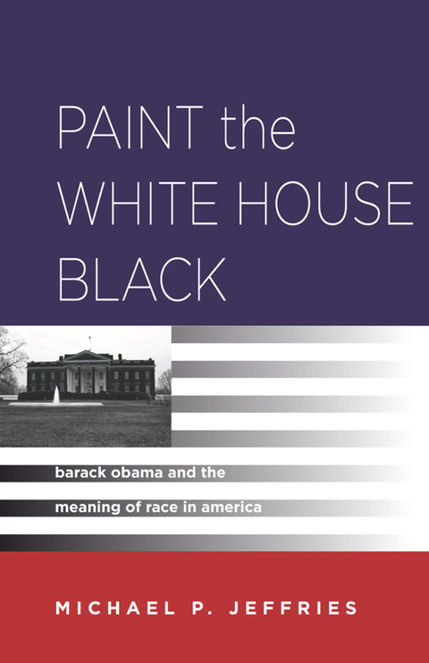Cover image for book Paint the White House Black