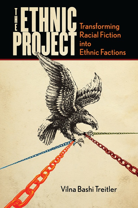 Cover image for book The Ethnic Project
