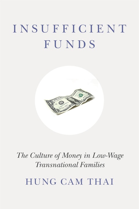 Cover image for book Insufficient Funds