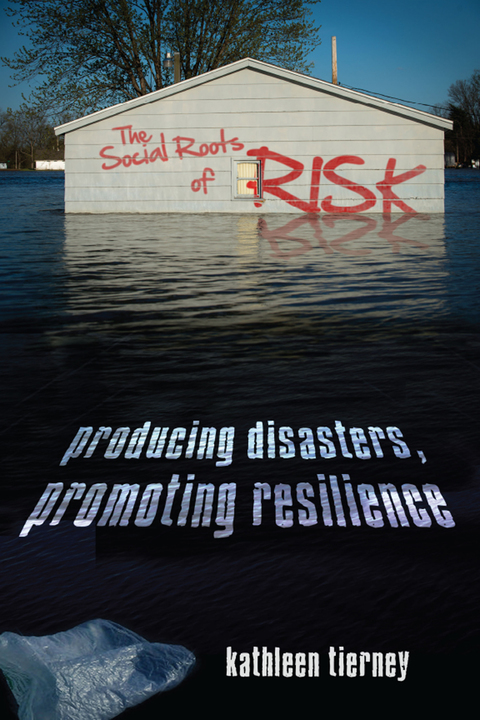 Cover image for book The Social Roots of Risk