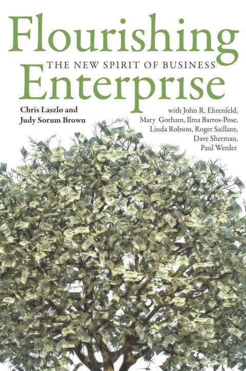 Cover image for book Flourishing Enterprise