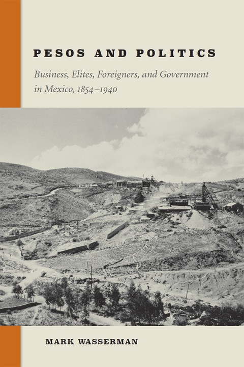 Cover image for book Pesos and Politics