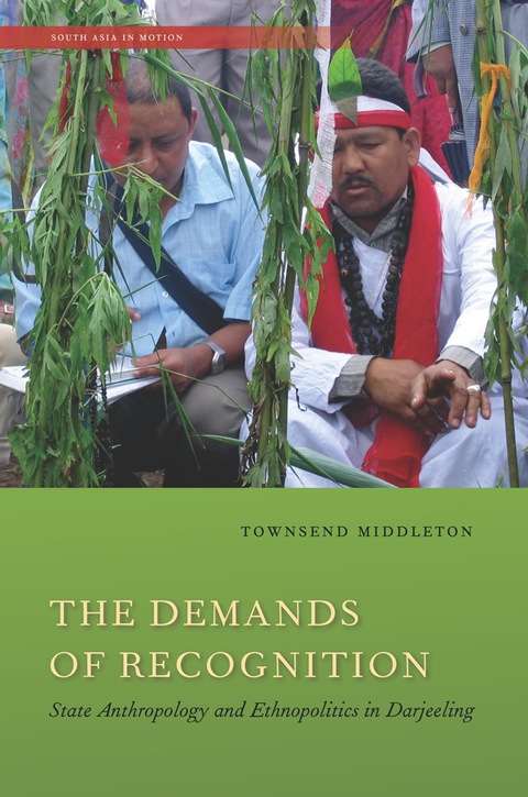 Cover image for book The Demands of Recognition