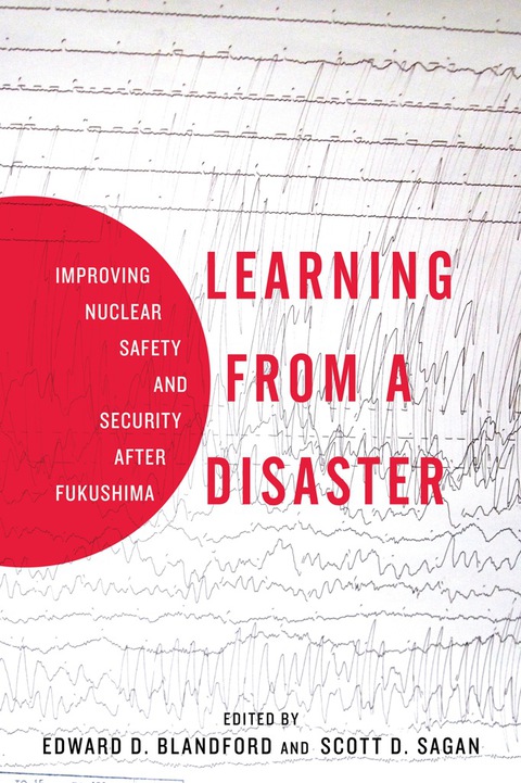 Cover image for book Learning from a Disaster