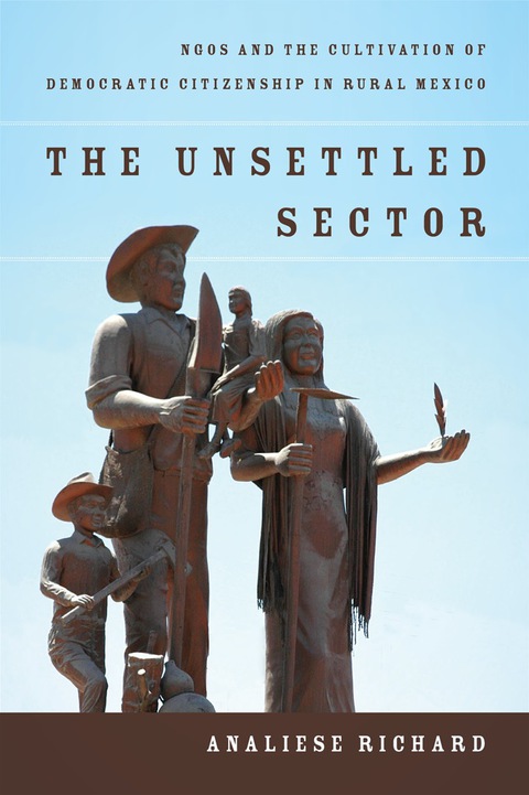 Cover image for book The Unsettled Sector