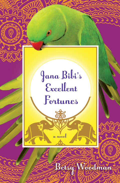 Cover image for book Jana Bibi's Excellent Fortunes