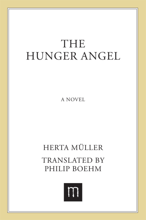 Cover image for book The Hunger Angel