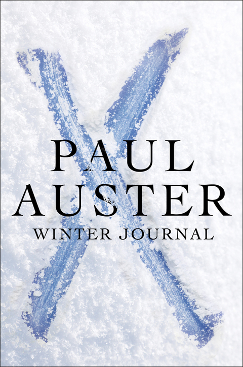 Cover image for book Winter Journal