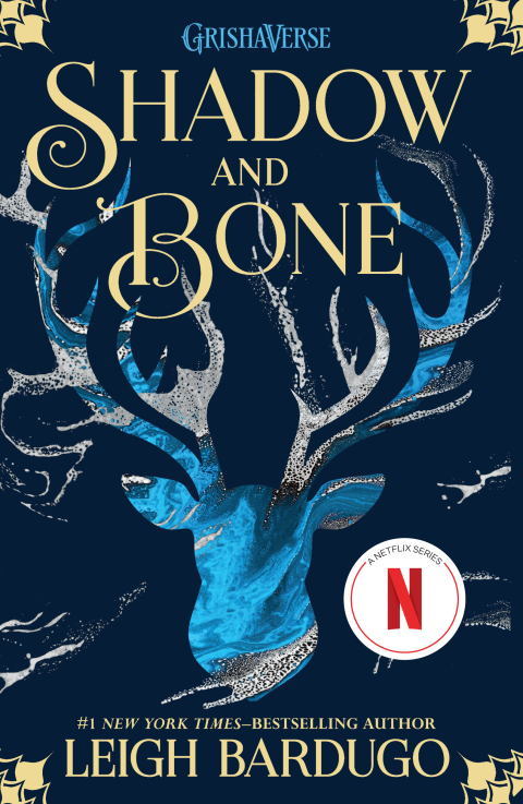 Cover image for book Shadow and Bone
