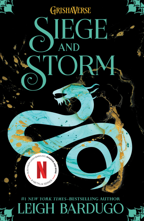 Cover image for book Siege and Storm