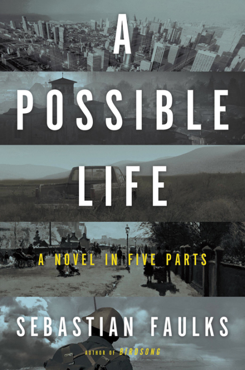 Cover image for book A Possible Life
