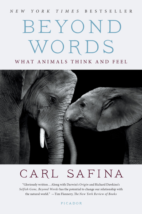 Cover image for book Beyond Words