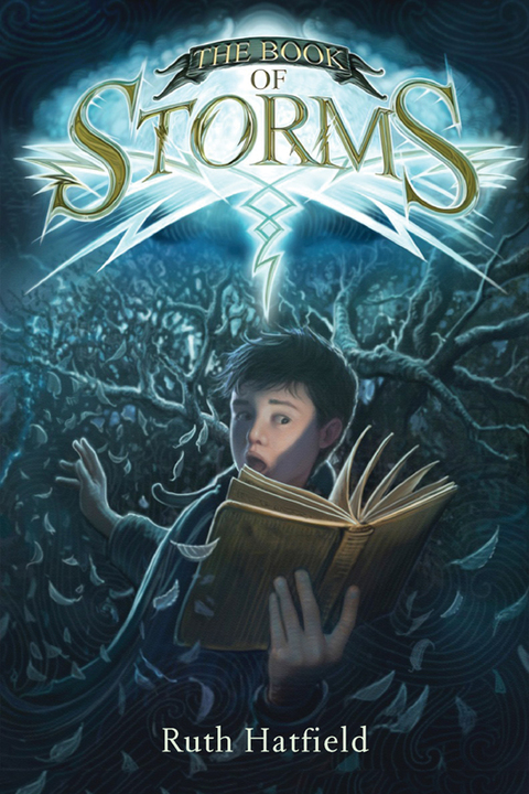Cover image for book The Book of Storms