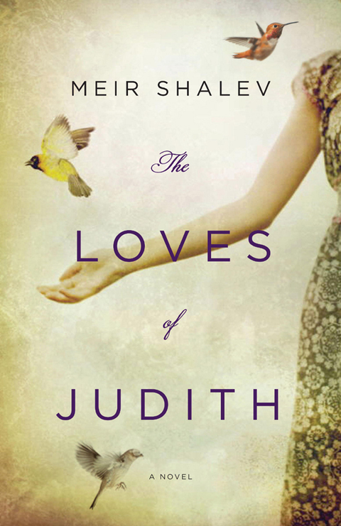Cover image for book The Loves of Judith