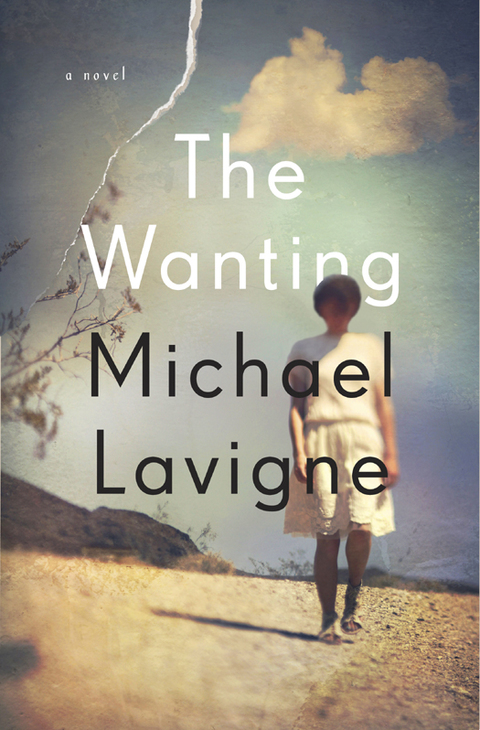 Cover image for book The Wanting