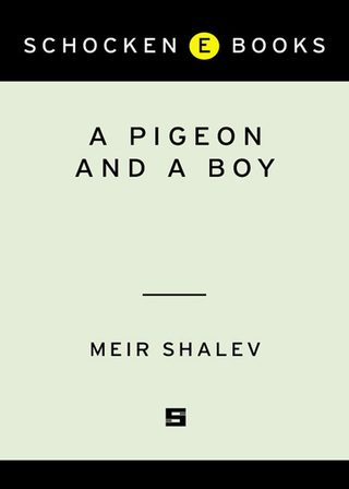 A Pigeon and a Boy