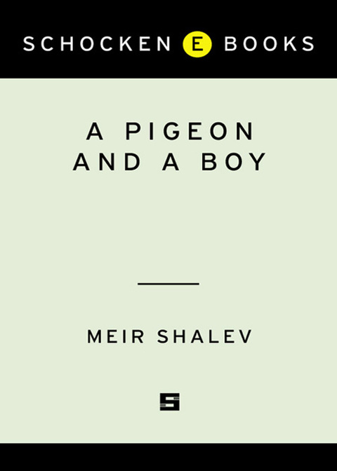 Cover image for book A Pigeon and a Boy